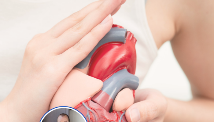 Apotheia 2026 getuigeniscardiologen